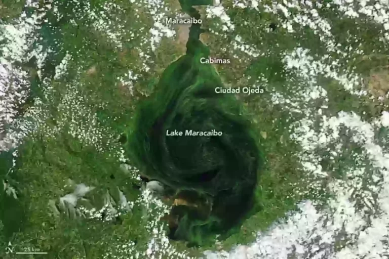 Observatorio de la Tierra de la NASA declaró el lago de Maracaibo “abundante en contaminación”