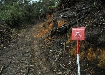 Guerrilleros colombianos llevan minas terrestres a Venezuela