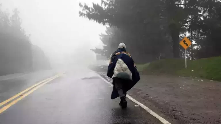 Las fronteras cerradas no detienen la migración venezolana, solo la hacen más peligrosa