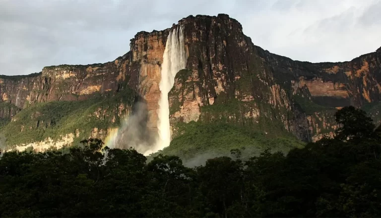 Sociedad Venezolana de Ecología advirtió sobre “presiones” en áreas protegidas de Venezuela