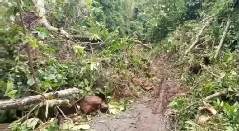 Reportan derrumbes en la zona norte del Táchira producto de las lluvias