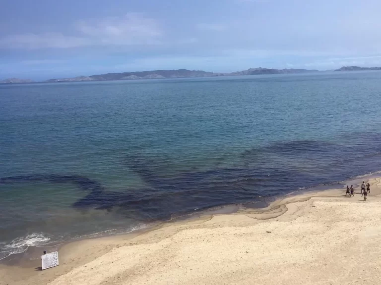 Alcaldía de Lechería informó de posible derrame de petróleo en Los Canales