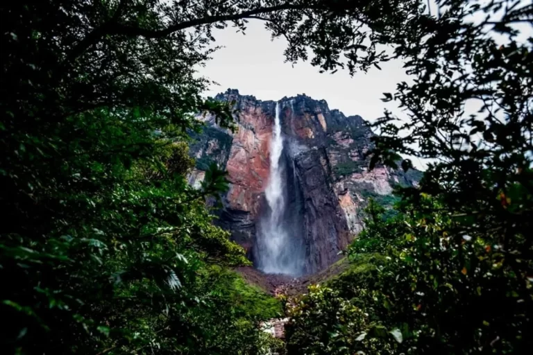 El Observatorio Venezolano de Derechos Humanos Ambientales exhortó al régimen a proteger los parques nacionales